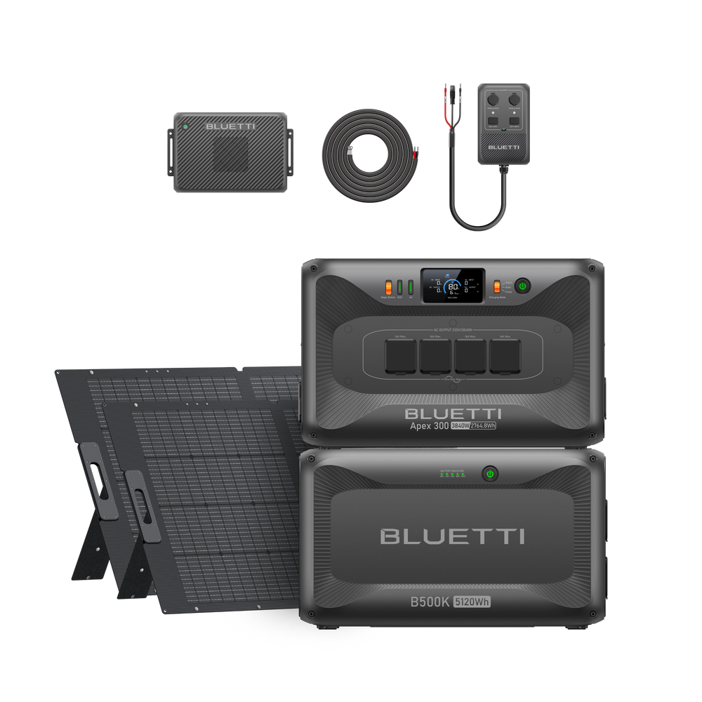Apex 300 + B500K + Charger 2 + DC Hub + 2*350W