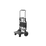 Foldable Trolley 2